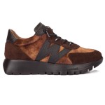 W710 BUTY WONDERS A-24111 TESTA MARRON